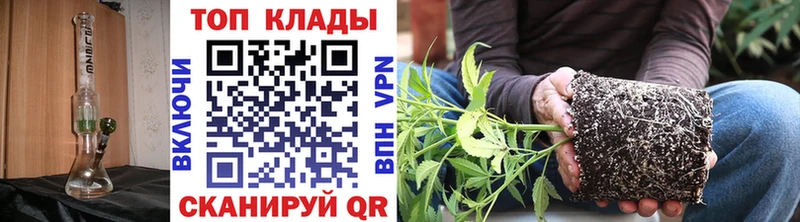 Купить наркотики сайты Георгиевск Кокаин  Меф мяу мяу  Псилоцибиновые грибы  Бошки Шишки 