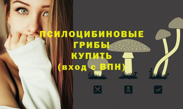 трава Арсеньев