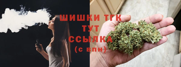 трава Арсеньев