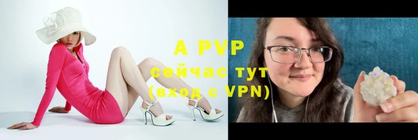 трава Арсеньев