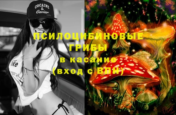 трава Арсеньев