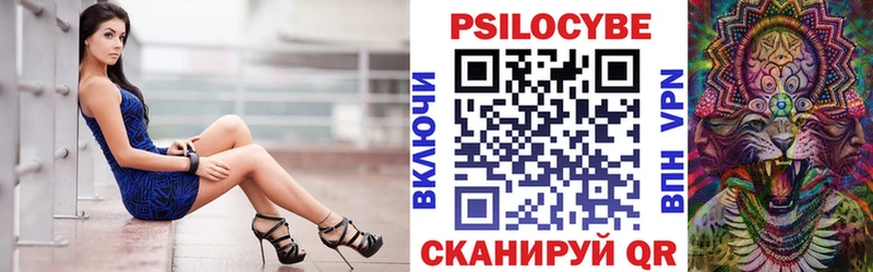 где купить наркоту  Георгиевск  Галлюциногенные грибы Psilocybine cubensis 